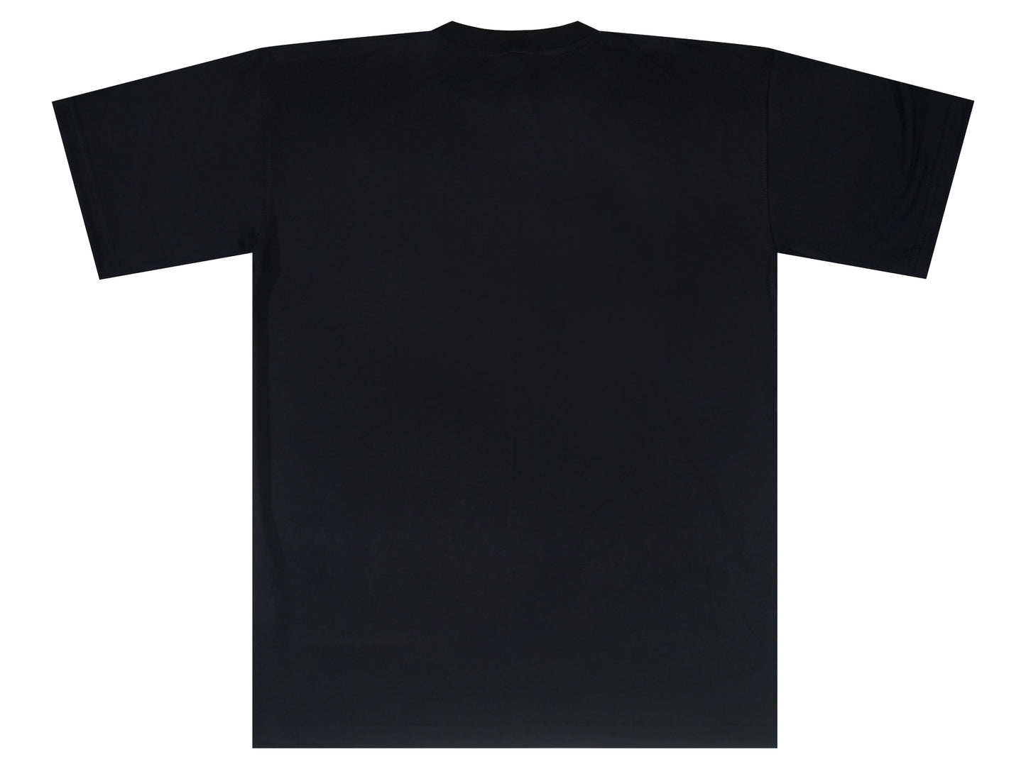 Black and White Distressed T Shirt