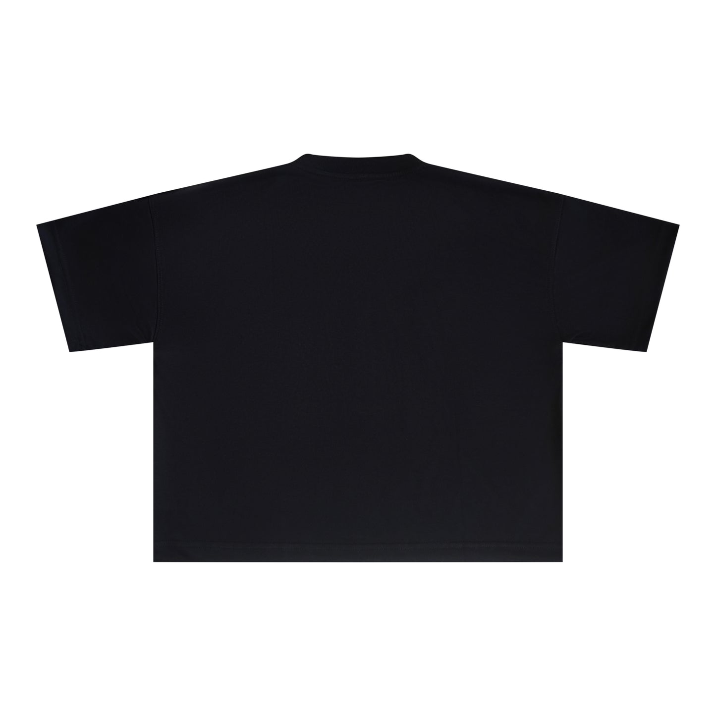 Black and White Distressed Crop Top T Shirt